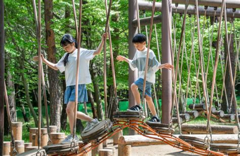 hotels near megazip adventure park|Hotels Near Mega Adventure Park .